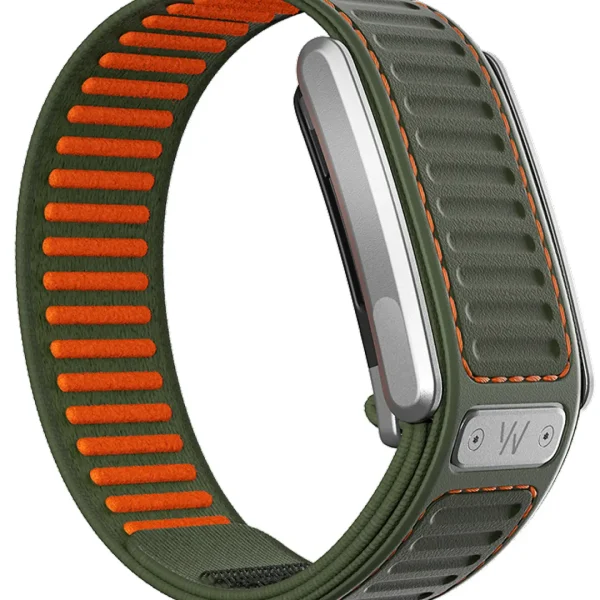 MG Navigator Band  Evergreen